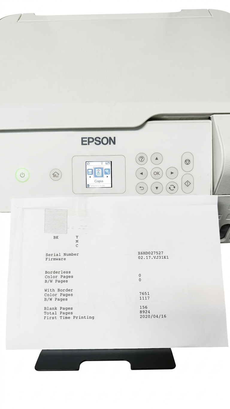 Stampante Epson con tamponi pieni e prova ugelli di stampa